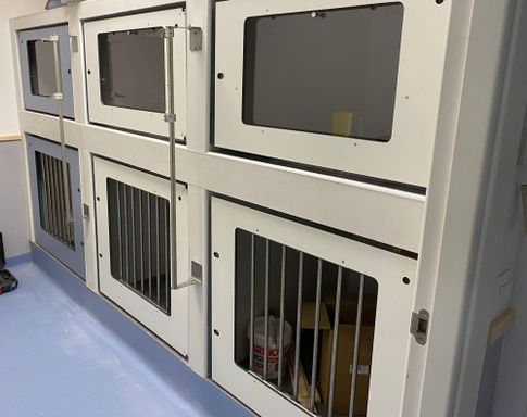 PUERTAS PARA JAULAS DE OBRA