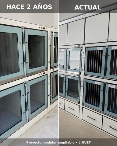 Dos años después… el proyecto sigue creciendo