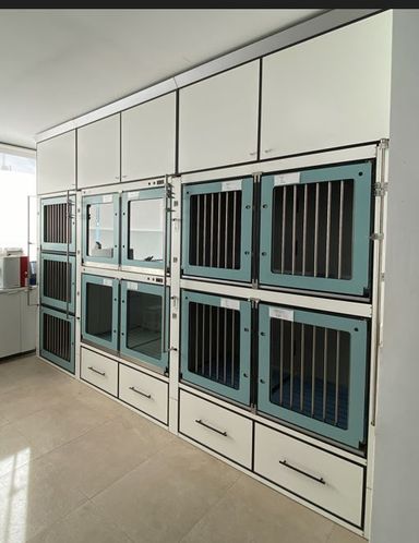 hospitalizacion de perros